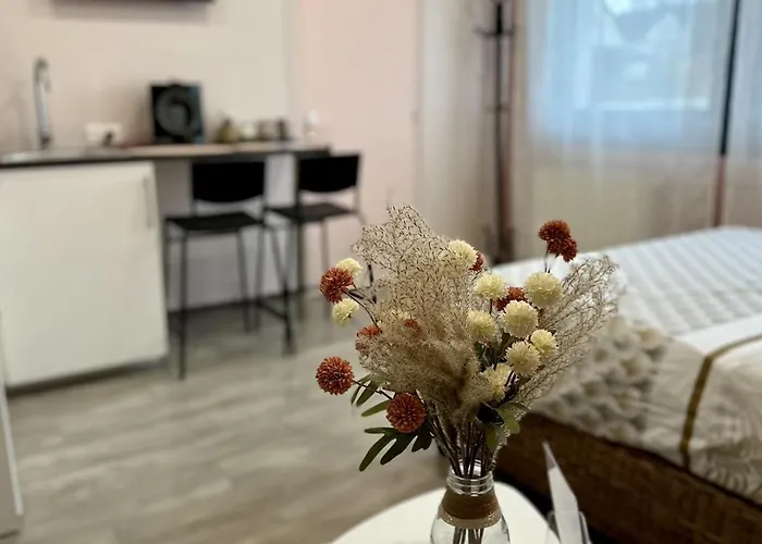 Studio Millesime